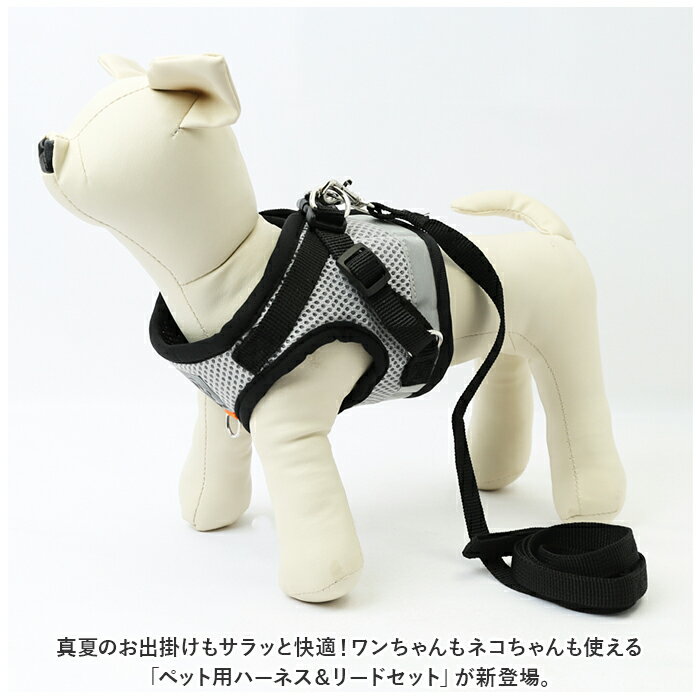 サンプル画像2