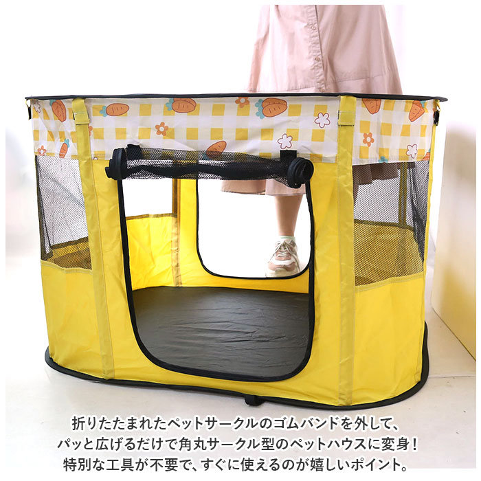 サンプル画像2