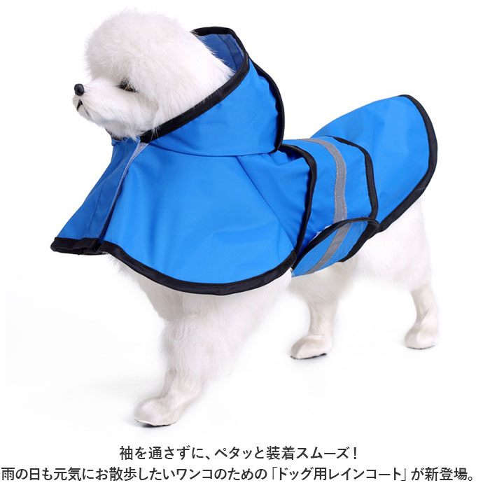 サンプル画像2