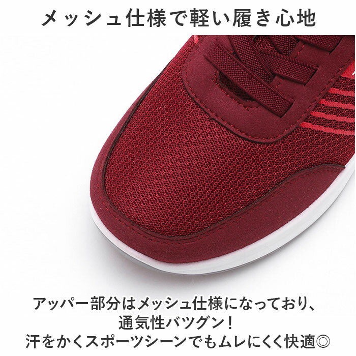 スニーカー レディース メンズ 通販 運動靴 ウォーキングシューズ ランニングシュ...