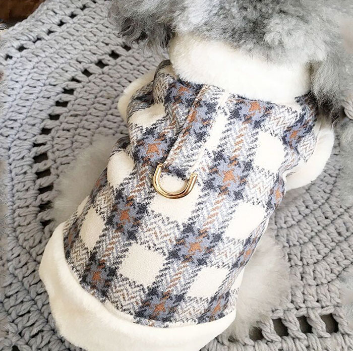 �ڥå� ������ ������ ���� �٥��� �������ϡ��ͥ� �ɥå������� ���� �ɥå������� �ڥå��� �������� ΢���� �ܥ� �ɴ��� �Ť��� �ɴ��к� ��ñ��æ ȴ���ʤ� �� �� �Ȥ� �Ȥ��� ���������� ���ä��� �ڥåȥ��å� �ڥåȻ��� �ڥå�����