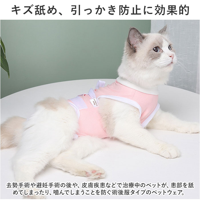 �ڥå� �� �Ѹ��� ǭ ���� �ڥå��ѽѸ��� �Ѹ� ����� �ɥå������� ����åȥ����� �ڥåȥ����� �ڥå��� �ѥ���� ��ܥ� ���襤�� �Ρ����꡼�� ���󥯥ȥå� µ�ʤ� ��ǥ ���� ��� ���Ӥ� �����ݸ� ���� ǭ�� ������ �İ��� �������