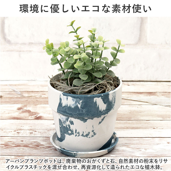 ����ȭ �ץ饹���å� ������� 3�� ���� ȭ���С� 3��ȭ �ץ�󥿡� �ץ�󥿡����С� ���� �ݥå� ȭ���� �����Х�ץ��ĥݥå� ���� �ڤ� ���տ�ʪ ȭ �������դ� ��ꤢ�� PLUS the green �� POSH LIVING �ݥå����ӥ�