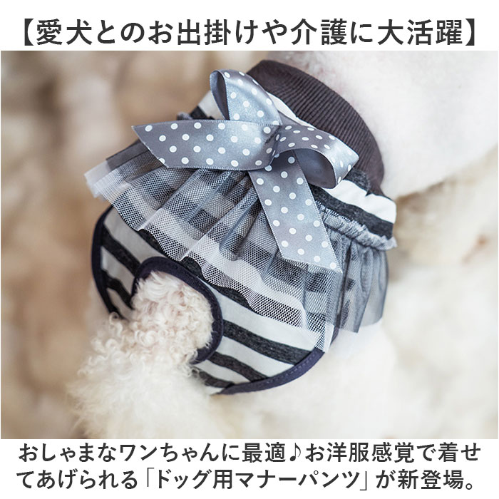 犬 マナーパンツ 女の子 通販 サニタリーパンツ 生理パンツ 犬用 イヌ いぬ ドックウェア 犬オムツ おむつ パンツタイプ おむつカバー 犬服 ペット服 しつけ用品 洗える リボン レース 術後 ウェア 服 お散歩 お出かけ おしゃれ かわいい 介護用品 backyard-10350049 BACKYARD FAMILY ママタウン サンプル画像2
