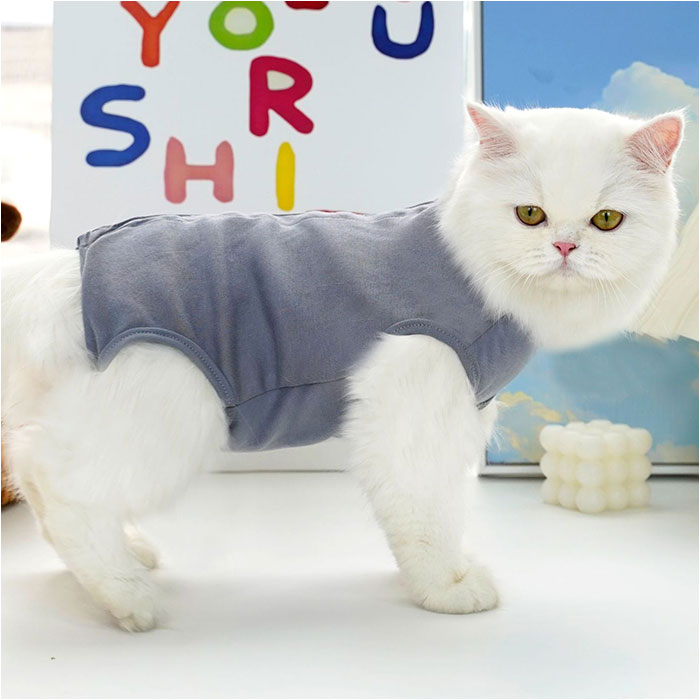 �ڥå� �� �Ѹ��� ǭ �� ��ŷ �ڥåȥ����� �ڥå��� ����� �ɥå������� ����åȥ����� �ڥå��ѽѸ��� �Ѹ� �ѥ���� �Ρ����꡼�� ���󥯥ȥå� µ�ʤ� ��ǥ ���� ��� ���Ӥ� �����ݸ� ���� ǭ�� ������ �İ��� ������� ���襤��