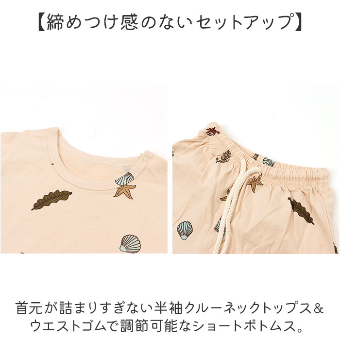 �٥ӡ��� ���åȥ��å� ���� ���� �ˤλ� ���λ� �岼���å� T����� Ⱦµ �ϡ��եѥ�� ���硼�ȥѥ�� Ⱦ���ܥ� û�ѥ� �롼�०���� ������ �Ҷ��� �ȥåץ� �ѥ�� ���å� ������� �İ��� ���襤�� �� �ղ� �֤���� ���ɤ��� �٥ӡ��ե��å����