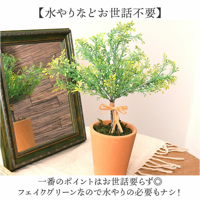 ���տ�ʪ �ե����� �緿 ���� �ե��������꡼�� �����ƥ��ե�����륰�꡼�� ����ƥꥢ���꡼�� �͹����տ�ʪ �礭�� ȭ���� �ݥå� ���� ��ӥ� ���ե��� Ź�� ������� ���ե� GLA-1372 �ץ饹���å��꡼�եݥå� �ݥԡ� YDM