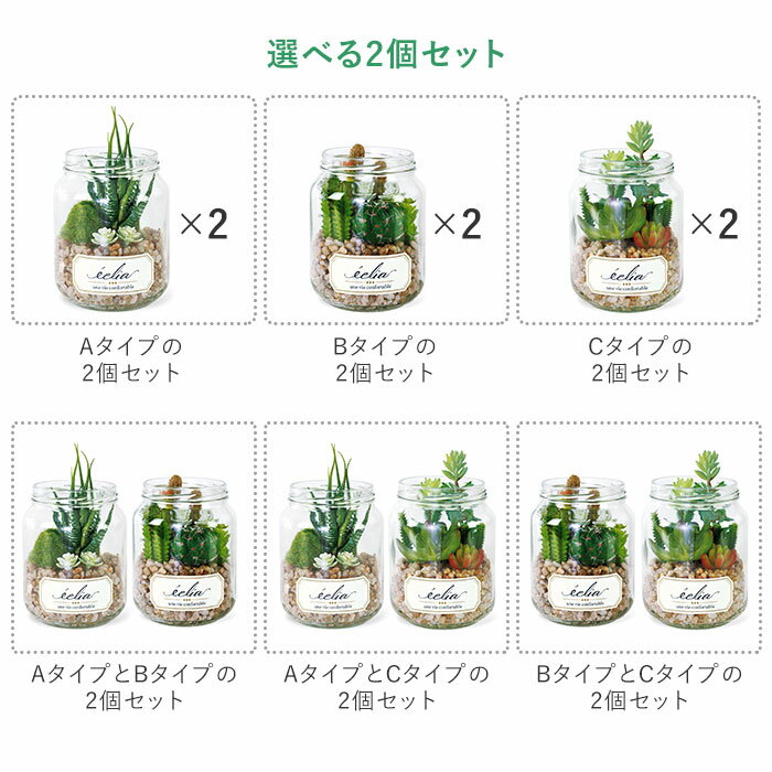 ���տ�ʪ �ե��������꡼�� ���� ������� ������ CT���� �ý������ƥ��ե�����륰�꡼�� 2�ĥ��å� ECLIA �����ꥢ ����ƥꥢ���꡼�� �饦��ɥݥå� ����˥����� �͹���ʪ ����ƥꥢ �Ϥ�ʤ� ����ѥ��� ���� ��Ȣ ��� �ǥ��� �� �����ǥ� ¤��