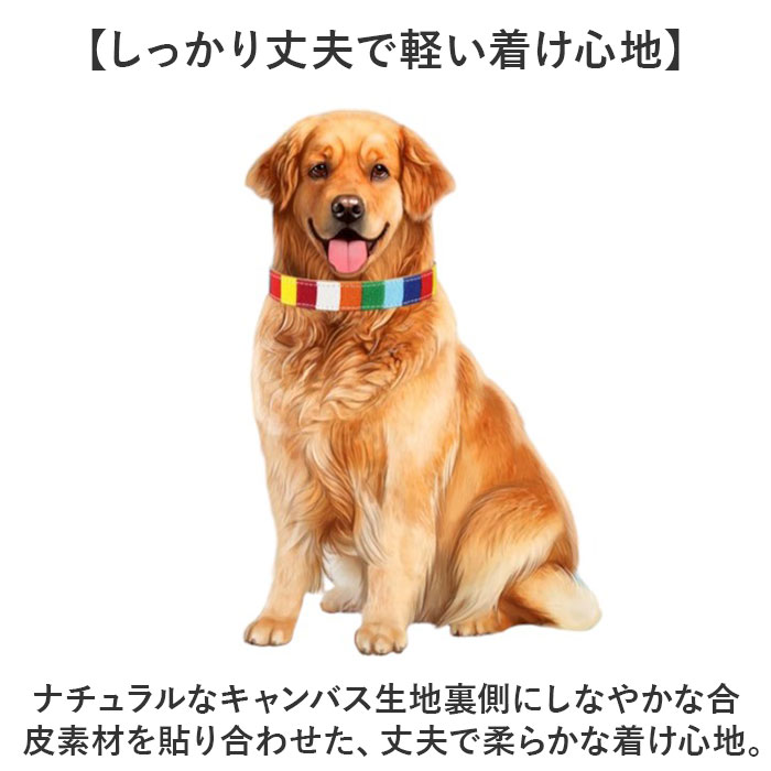サンプル画像3