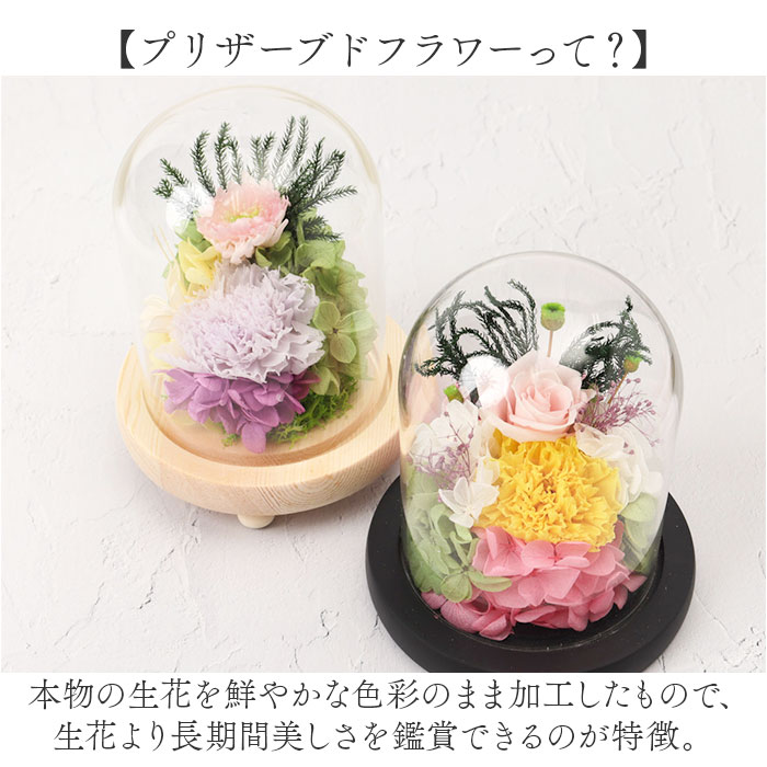 ���饹�ɡ��� ����ƥꥢ ����󥸥��� L ���� �ե�����󥸥��� �ץꥶ���֥ɥե� �ץꥶ���ɥե� ������ ���� Ĺ���� �ɡ��� �ִ��դ� ������ ���� �� �ե� �Ϥ�ʤ� £��ʪ ���ե� ���� �ȥ��� ��ӥ� ���� ��ʪ ˡ��