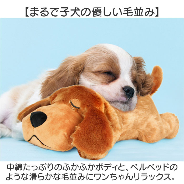 サンプル画像3