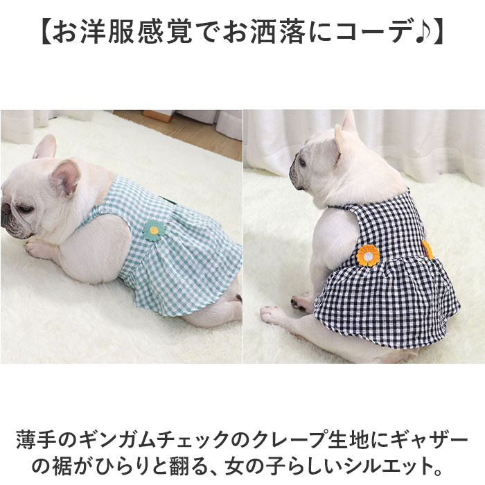 ���� �ڥåȥ����� ���ԡ��� ���� ���� �������� ������ �ڥå��� �� ���� �ɥå������� ���λ� �����å��� �� �ե� �� ���� ���� ������ �淿�� �ե����֥�ɥå� �ڥå� �� ���� ������� ������� ���襤�� �İ��� �ڥå�����