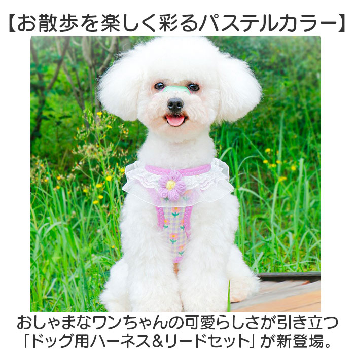 サンプル画像2