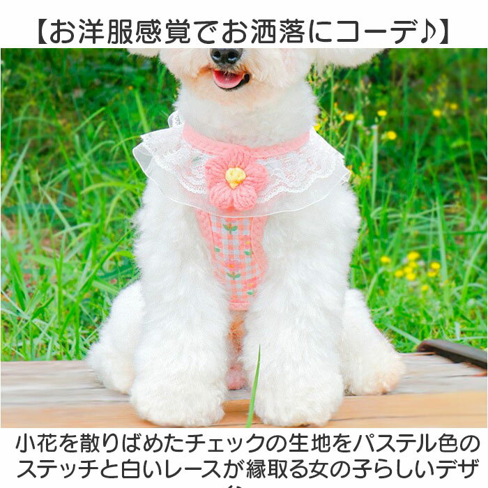 �ϡ��ͥ��꡼�� �� ���襤�� ���� �ϡ��ͥ� �꡼���դ� �ϡ��ͥ��꡼�ɥ��å� �ϡ��ͥ����꡼�� ƹ�� ���� �꡼�ɥ��å� �졼�� �� ��ñ���� ���η� ���� ǭ�� �ڥå� ������ ���� ���� ������ ���� ���Ф��� ���Ǥ��� �ڥå��� �ڥå�����