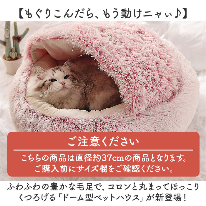 サンプル画像2