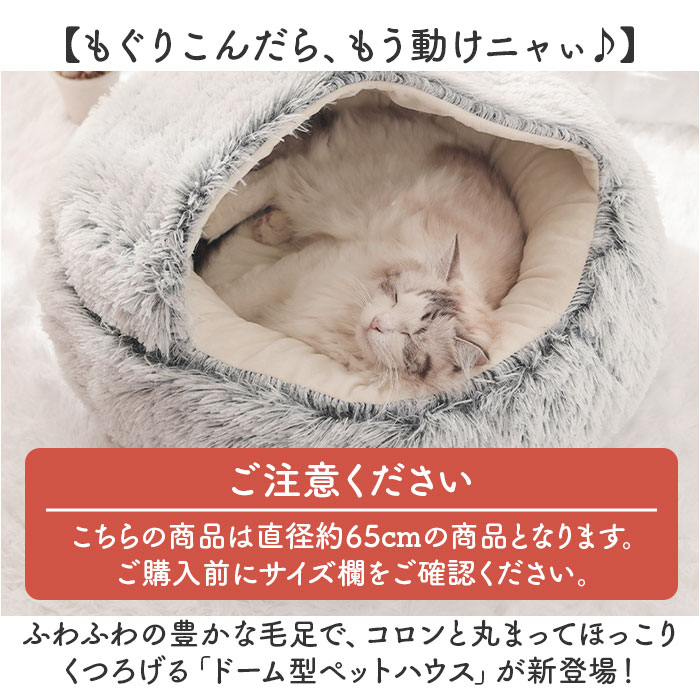 サンプル画像2