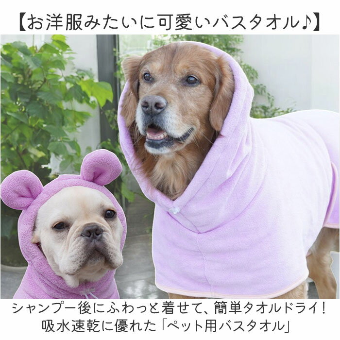 サンプル画像2