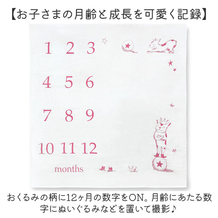 ���ꥢ���� ������� ���������å� �٥ӡ� ���� ������ ���ƥ����� 3�ť��������å� ����ե��� 3�ť����� �������ե��� ������ ���� �֤���� �������˥å� ���åȥ� ���� �ե��� �ˤλ� ���λ� �л��ˤ� ���襤�� �İ��� £��ʪ ���ե�