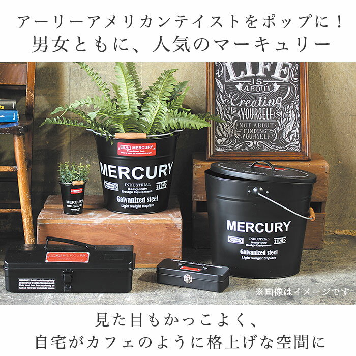 マーキュリー バケツ 通販 おしゃれ ブリキ ガーデニング レギュラー シンプル MERCURY 男前 ゴミ箱 ダストボックス ダストビン アメリカン かっこいい 収納 DIY 掃除用品 2