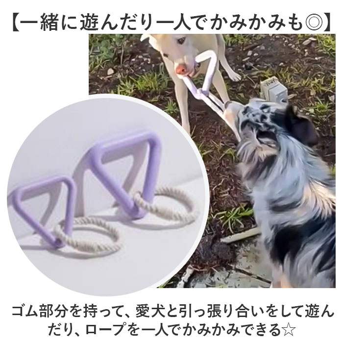 �� ������� ������ ?�प����� ���� ������ ��� ������� ?�४����� ���Ѵ�� ��������� �����ץ롼�� �ڥå����ΰ��� �ΰ��� ���ȥ쥹��� ���� �ѵ��� ��� ��ư ͷ�� ��ư��­ ���� ������ �ڥå� �ڥå����� �ڥå��� ����