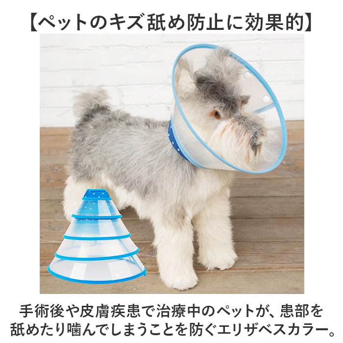 サンプル画像3