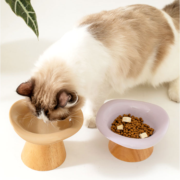 �ա��ɥܥ��� �⤵������ ���� �ա��ɥܡ��� ������� ������ �������� �ڥåȿ��� ���ӻ� �ͥ� ���Ϥ� �������� �ڥåȥա��ɥܥ��� ������ �� �ڥå� ������ ���� ������� ����ߥå� �ܥ��� ���� ������ ������ ǭ���� �ڥå�����