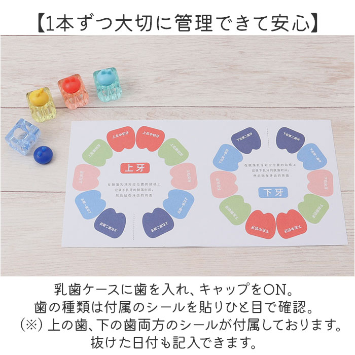 乳歯ケース プラスチック 通販 乳歯入れ 乳歯入れケース 乳歯 保管ケース 歯 保管 ...