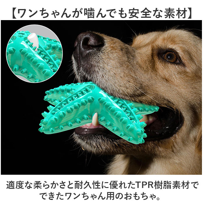 犬 歯磨き おもちゃ 通販 噛むおもちゃ 歯磨きおもちゃ 犬おもちゃ 犬オモチャ ペットおもちゃ 玩具 噛む 音が鳴る 歯ブラシ ヒトデ 大型犬 中型犬 知育玩具 音の出るおもちゃ 犬用品 ペット用品 ペットグッズ backyard-10363994 BACKYARD FAMILY ママタウン サンプル画像3