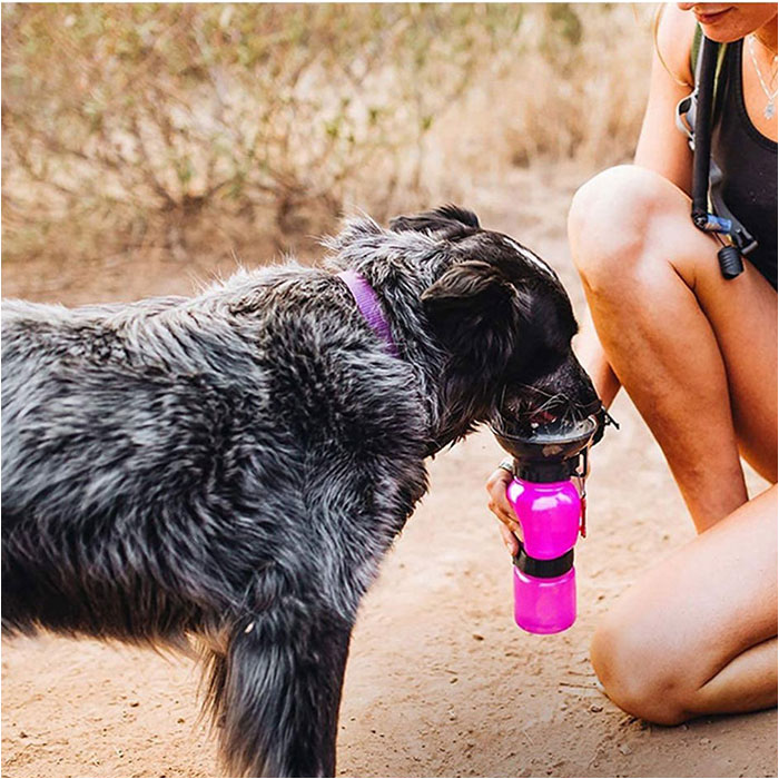 犬 水飲み 散歩 通販 水入れ 皿付き 水筒 ウォーターボトル 携帯水筒 水飲み器 ボウル ボトル ペット用水飲み 給水ボトル 給水器 小型犬 中型犬 大型犬 旅行 便利グッズ お散歩グッズ お出かけグッズ 犬用品 ペット用品 ペットグッズ backyard-10363760 BACKYARD FAMILY ママタウン サンプル画像3