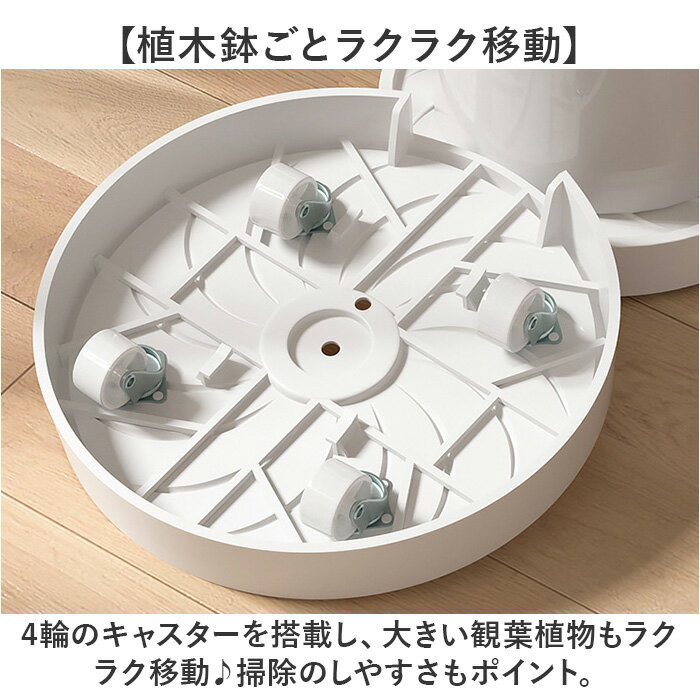 �ץ�󥿡�������� ���㥹���� ���� ����ȭ�� ȭ�� ȭ�� ȭ�֤� ����ȭ�֤��� ���� ������� ȭ���ץ졼�� �߷� ��ž ���� ������ ������դ� �� ��ʪ ��ư ����Ȣ ������������ ���㥹������ ��ư���� �٥��� ���ե��� ����ƥꥢ �����ǥ˥�