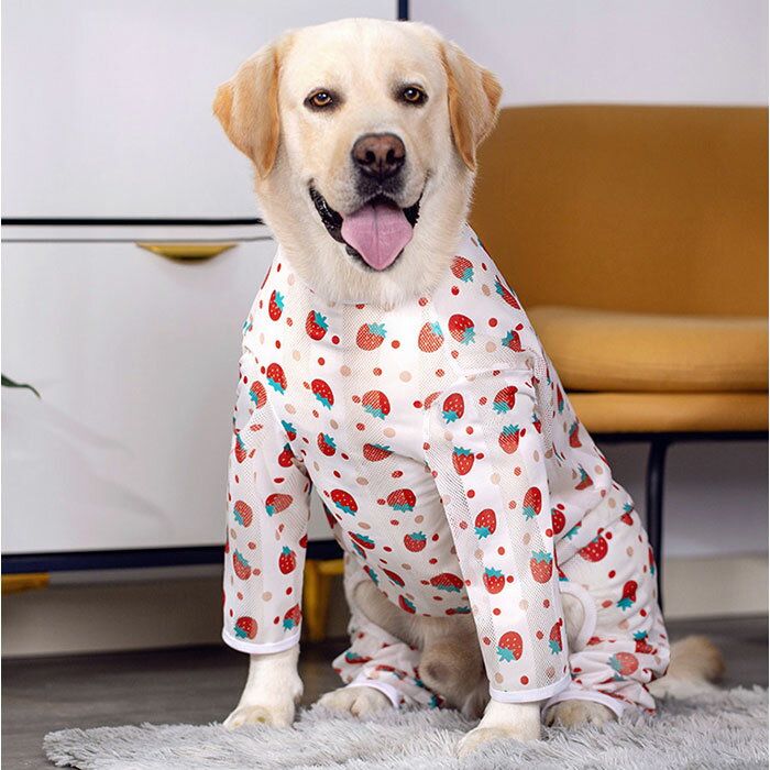 ������ �淿�� ���� ���� ������ �Ĥʤ� �Ѹ��� �Ѹ奦���� ȴ�����к� �� Ĺµ ���� �� �ղƽ��� ������ �롼�०���� �ѥ���� ������ �ڥåȥ����� �淿���� �ɥå������� ������ �ڥå����� �ڥåȥ��å�