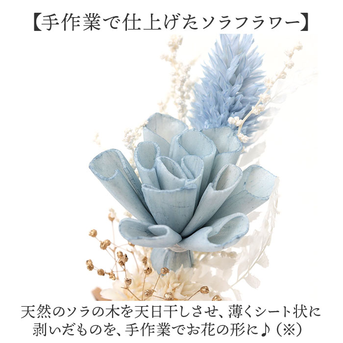 ����ե� ���饹�ܥȥ� ���� ���륯�֡��� �ե� �� �Ϥ� �ɡ���ե� �ǥ����ץ쥤 �֡��� ���� �֤�ʪ ��ʪ ����� �ʥ����� ���ե� £��ʪ ���ե� ���襤�� �İ��� ������ ���ˤ� ������� ������� ����ƥꥢ