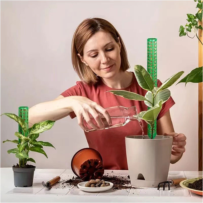 �⥹�ݡ��� 4�ܥ��å� ���� ���� ���տ�ʪ ��󥹥ƥ� ��� ��ݻ��� ��ʪ���� �����ǥ˥� ����� �����ǥ˥��� ���ݡ��� �Ĥ� �٤� ��ʪ �����ǥ˥����� ��ʪ���ݡ��� ������� ���� ���� ����ץ� ȭ���� ��ʬ�ݻ� ��Ĺ �ץ饹���å�