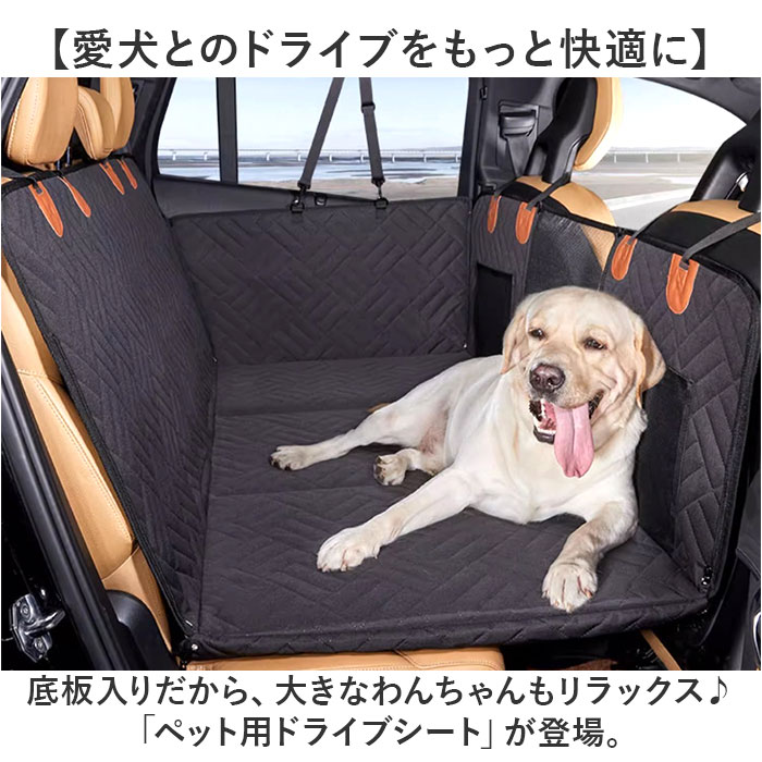 サンプル画像2