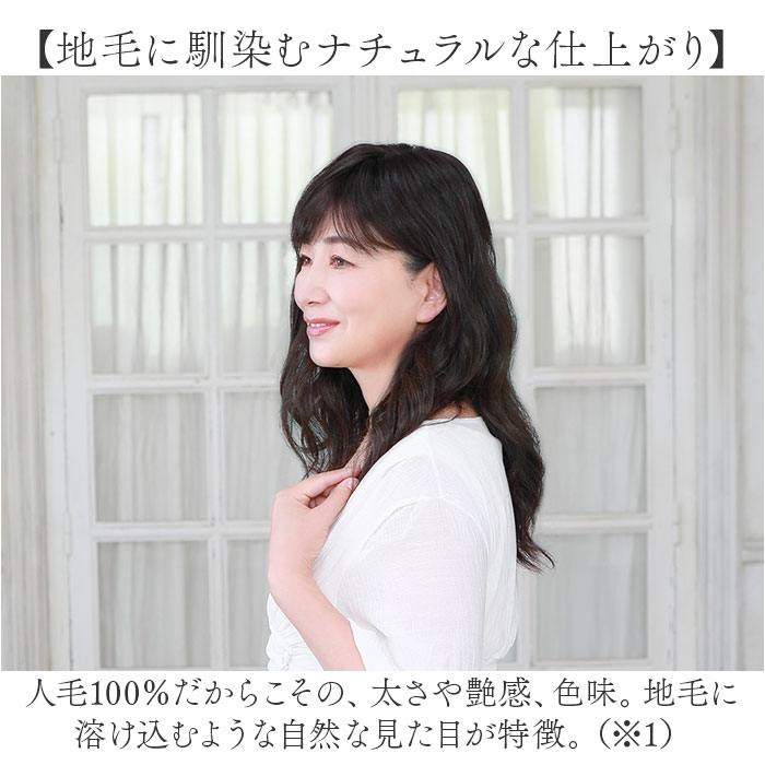 プリシラ 部分 ウィッグ prisila ST-100 通販 かつら 女性 レディース 部分ウィッグ ポイントウイッグ ヘアピース ポイントウィッグ ウイッグ 頭頂部 つむじ 白髪隠し 白髪かくし カツラ 人毛100% 人 毛 100 分け目 増毛部分かつら