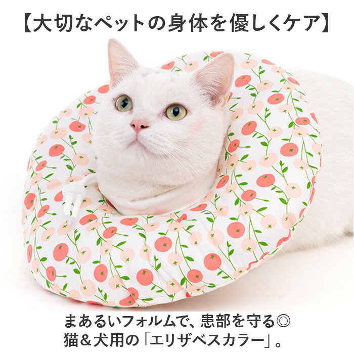 サンプル画像2