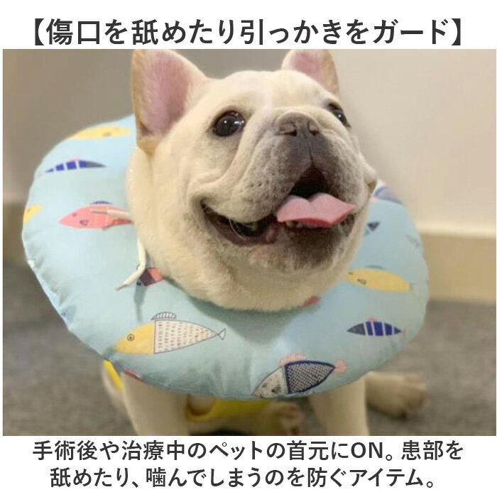 サンプル画像3