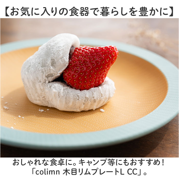食器 おしゃれ お皿 通販 日本製 正和 木目リムプレートL プレート 皿 丸皿 大皿 カレー皿 パスタ皿 テーブルウェア 食洗機対応 電子レンジ対応 クリーンコート シンプル 木目調 かわいい オシャレ 可愛い ナチュラル 洋食器 キッチン用品 backyard-10366868 BACKYARD FAMILY ママタウン サンプル画像2