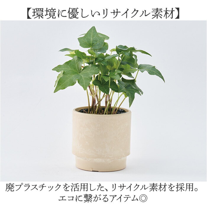 ����ȭ �ץ饹���å� �ݷ� ���� SK ���ƥå� 12xH12 ȭ �� 3.5�� ȭ���С� �ץ�󥿡� �ץ�ݥå� �ץ�󥿡����С� ���� �ݥå� ȭ���� ������� ���� �ڤ� ���տ�ʪ �ե�����󥸥��� ����ƥꥢ �ꥵ������ץ�ݥå� ���襤��