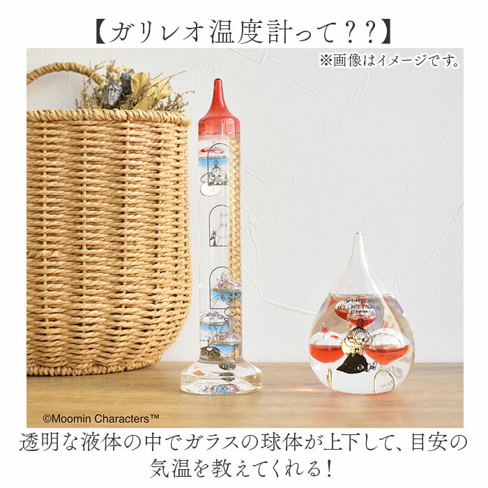 ���饹�ե����Ȳ��ٷ� �ࡼ�ߥ� ���� ���ٷ� ����쥪���ٷ� ����쥪������᡼���� ��ʪ �֤�ʪ ����ƥꥢ���ٷ� moomin ���֥��� ���襤�� ������� ���ե� £��ʪ �뺧�ˤ� ���ñۤ� ������ ���� ����ƥꥢ���� �������� ��ë����