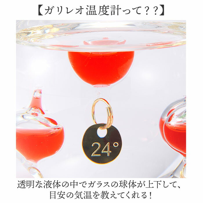 ���饹�ե����Ȳ��ٷ� ��� ���� ���ٷ� ����쥪���ٷ� 333-218 ����쥪������᡼���� ��ʪ �֤�ʪ ����ƥꥢ���ٷ� ���֥��� ���襤�� ������� ���ե� £��ʪ �뺧�ˤ� ���ñۤ� ������ ���� ����ƥꥢ���� �������� ��ë����