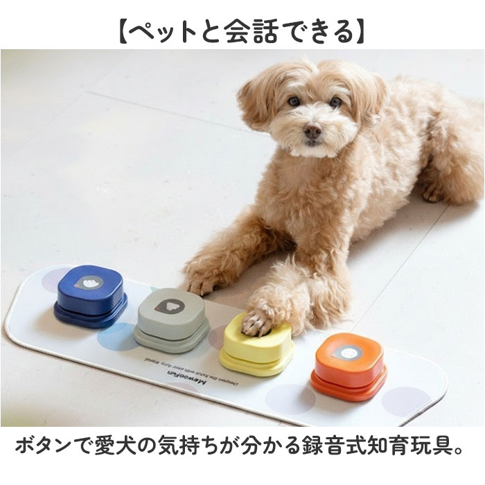 会話ボタン 犬 通販 録音ボタン おしゃべりボタン ペット 知育玩具 話すボタン 音声ボタン トレーニングブザー コミュニケーションボタン ボタン ベル 犬おもちゃ 音声録音 遊び 会話 学習 訓練 犬用 猫用 ペット用 ペットグッズ backyard-10370019 BACKYARD FAMILY ママタウン サンプル画像2