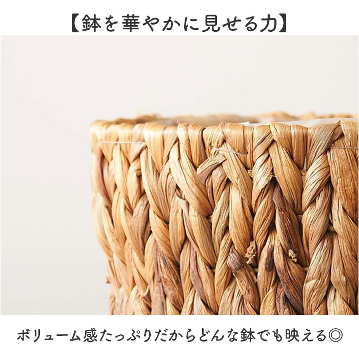 ȭ���С� 4�� ���� ���ߥ��ߥݥå�4�� ����ȭ���С� �ץ�󥿡����С� 4��ȭ �� �ۥ磻�� ����ȭ ȭ �ץ�󥿡� ���� �ݥå� �ե�����󥸥��� ȭ���� ���� ��� ���տ�ʪ ¿����ʪ ���꡼�� �ʥ����� ����ƥꥢ �������