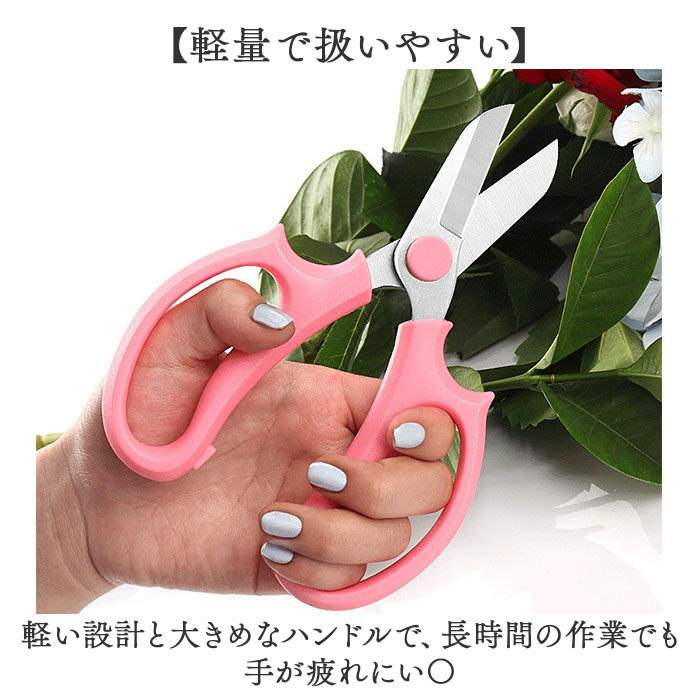 �֥Х��� ���� �֤Ф��� ���� �֥ϥ��� ��ݤФ��� ����Ф��� ������ ����Х��� ���� �Ϥ��� �ե�����󥸥��� ������ ���ƥ�쥹 �����ǥ˥����� ��ƻ ��� ������� �����ǥ˥󥰻��� ���襤�� �������