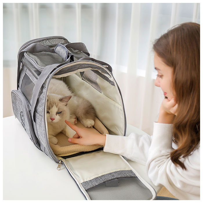 �ڥåȥ���꡼ �ޤꤿ���ߥХå� ���� �ܥ��ȥ�Хå� �� ǭ ����꡼�Хå� �ڥåȥ���꡼�Хå� �ޤ���� ������� ��Ф� ������ ������� ι�� �̱� ���Ǥ��� ǭ�� �ͥ� ���� ���� �ڥå� ���å� �ڥå�����