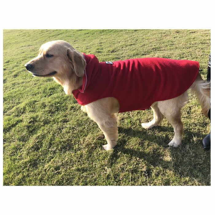 ���� ���� �ݥ���� �ե꡼���٥��� �ȥ졼�ʡ� �ݥ���祿���� �٥��� µ�ʤ� �ե꡼�� ȿ���� ��ñ���� �夻�䤹�� �ɥå������� �ڥå��� ������� ���� ��������� �ڥå��� �� �� ���� ����