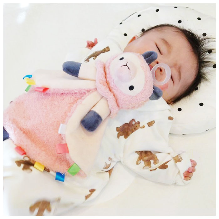 �ѥ��ե�� ���� ������֤� �̤������ ������֤�ۥ���� �֤���� �٥ӡ� ������֤��դ��̤������ Paci friends BLANKIE �֥�󥭡� �֥�󥱥åȥ����� �Ĥ��ߤ䤹�� ž����ˤ��� 0�� ������ �л��ˤ� ��