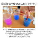 エジソンママ EDISON mama ぷにょぷにょアクアリウム 通販 おもちゃ 玩具 知育 液体 化学反応 固まる 12色 こども 子供 子ども 6歳 勉強 海のなかま 夏休み 自由研究 不思議 アレンジ 3