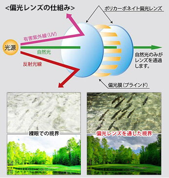 オーバーグラス サングラス エレッセ ellese 通販 オーバーサングラス レジャー 偏光グラス UV 紫外線対策 花粉 ほこりよけ 風よけ 偏光サングラス 偏光 アウトドア ドライブ レジャー 自転車 スポーツ 釣り フィッシング ゴルフ レジャー スポーツサングラス