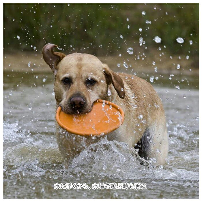 �եꥹ�ӡ� �� ���� �ڥå� �ǥ����� ���餫�� �ꤲ���� �ȥ졼�˥� �ڥå� ������� �ڥåȴ�� ����⤯ �ס��� �� �� �� ��ͷ�� ŷ������ 15cm 18cm ��� �ڥå�����